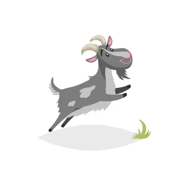 Vector illustration of Cute funny goat. Cartoon flat style trendy design farm domestic animal. Spotty grey breed goat jumping. Vector illustration isolated on white background.