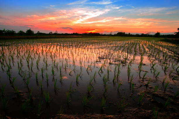 istock Countryside scenery in the evening after sunset 1094036120