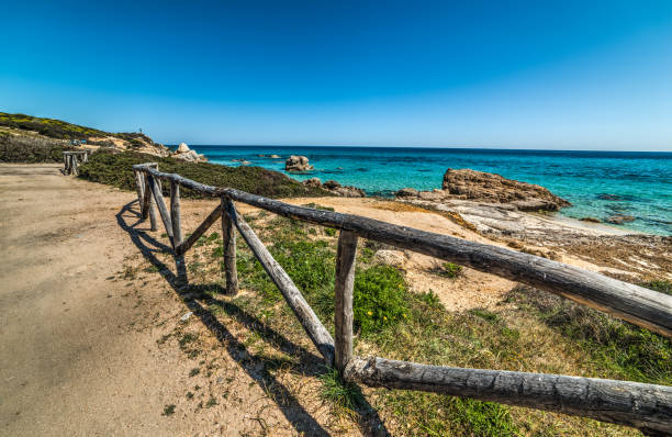 Nordic beach with wood