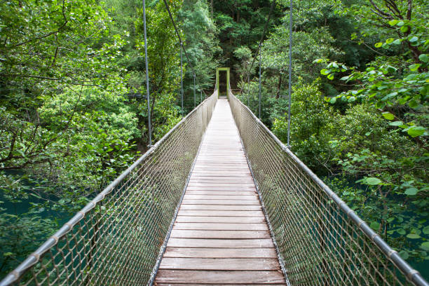 istock Wooden bridge in Fragas do Eume 1094040626