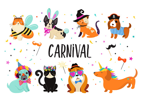 Funny animals, pets. Cute dogs and cats with a colorful carnival costumes, vector illustration