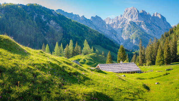 istock Idyllic alpine scenery with mountain chalets in summer 1094045968