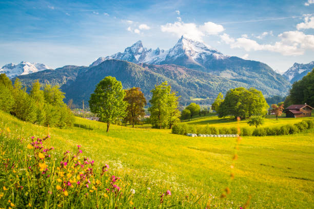 istock Idyllic mountain scenery in the Alps with blooming meadows in springtime 1094046038