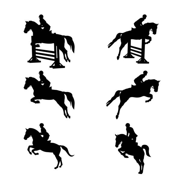 illustrations, cliparts, dessins animés et icônes de définir les sports équestres de groupe - hurdling hurdle vector silhouette