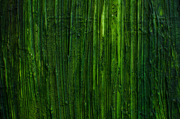 Bamboo - Plant, Bamboo Leaf, Branch - Plant Part, Bush