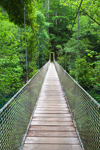 Wooden bridge over Eume river in Fragas do Eume natural park, Galicia