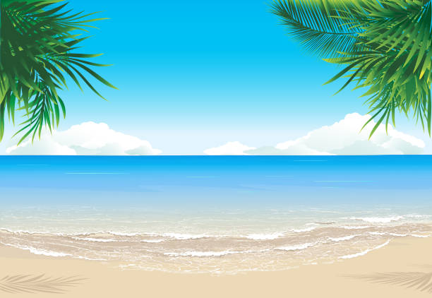 райский пляж - lagoon stock illustrations