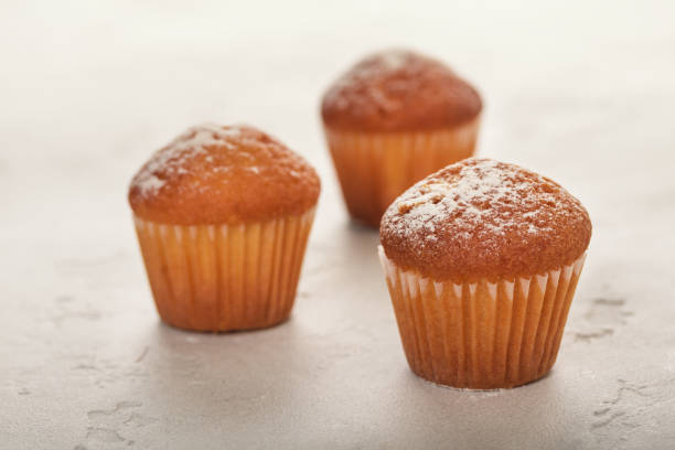 istock Close-up of vanilla muffins in powdered sugar. Selective focus. 1094060938