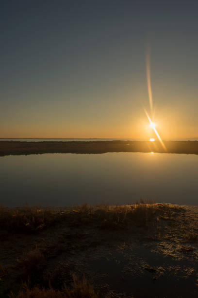 istock Sunset on the coast of the ebre delta 1094060986