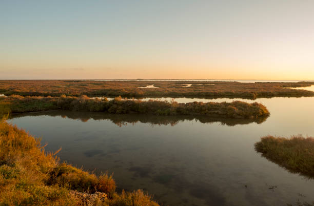 istock Sunset on the coast of the ebre delta 1094061014