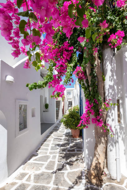 istock A cycladic, whitewashed alley at Naousa, Paros 1094063408