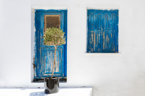 The blue and white of the Cyclades in Greece: blue window and door with an olive tree in front