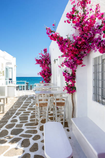 White small alley and houses with red bouganvillea flowers in Paros island White small alley and houses with red bouganvillea flowers leading to the blue sea on the cyclades in Greece, Paros island, during summer time paros stock pictures, royalty-free photos & images