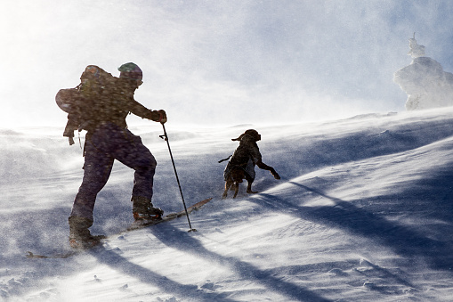 Back country snowboarder hiking with his dog in the winter mountain in cold winter day.