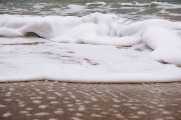 istock sand and rock in the beach in the coast 1094070788