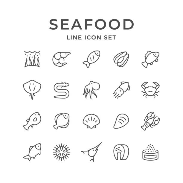 ilustraciones, imágenes clip art, dibujos animados e iconos de stock de línea set de iconos de mariscos - fish prepared fish fishing bass