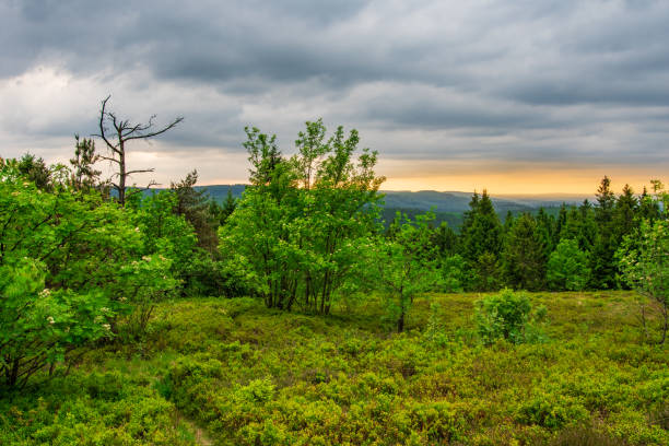 istock Teutoburg Forest view of  Velmerstot hill, Germany 1094077362