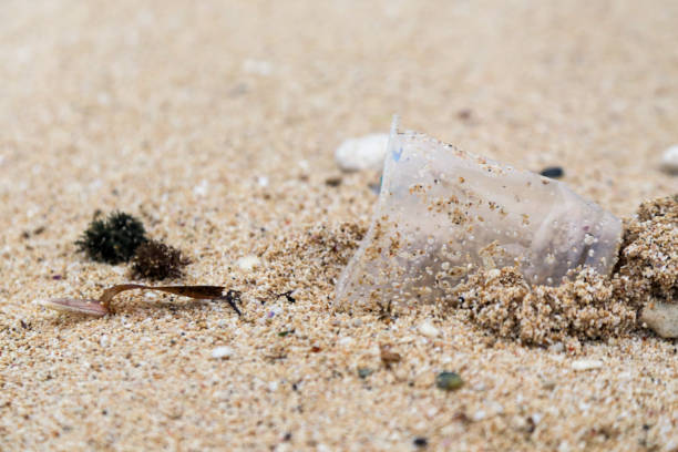istock Plastic trash at the sandy beach. Plastic pollution concept. Single-use plastic is a human addiction that is destroying our planet and impacts our waters, sea life and humans. 1094081464