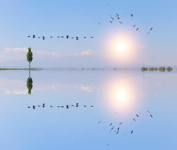 istock Hasan Volcanic Mountain - Aksaray , Turkey 1094082038