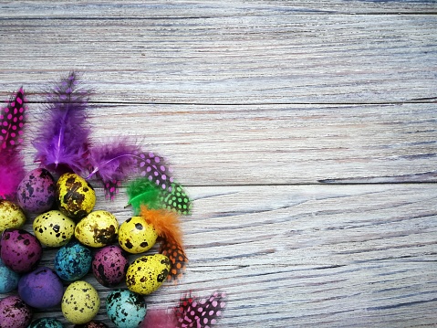 Colored colored quail eggs, with colorful feathers on white wooden background, happy Easter concept.