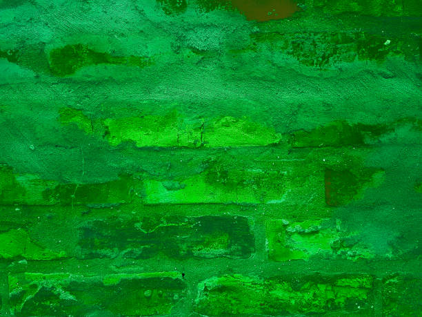 istock Green color grunge wall surface old weathered aged dirty background 1094085096