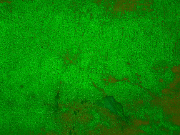 istock Green color grunge wall surface old weathered aged dirty background 1094085696