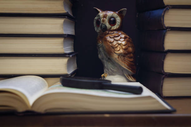 istock Owl among the stacks of books 1094086236