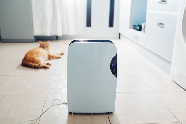 istock Dehumidifier with touch panel, humidity indicator, uv lamp, air ionizer, water container works at home. Air dryer 1094087680
