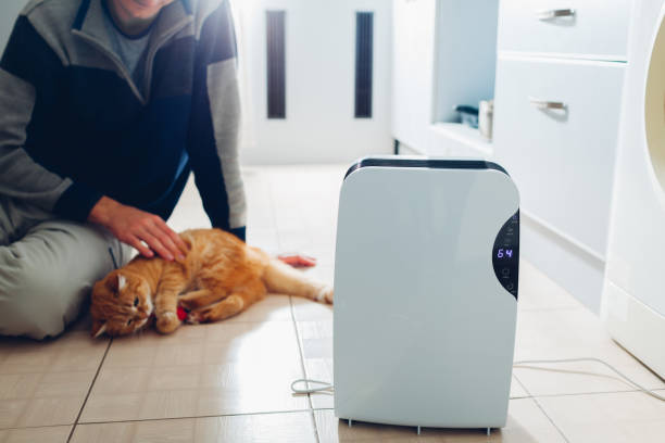 istock Dehumidifier with touch panel, humidity indicator, uv lamp, air ionizer, water container works at home. Air dryer 1094087688