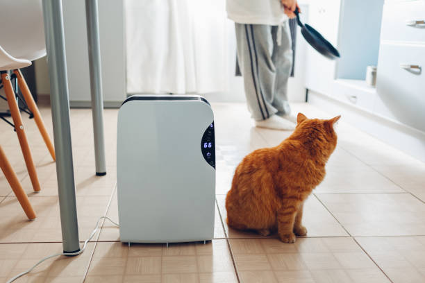 istock Dehumidifier with touch panel, humidity indicator, uv lamp, air ionizer, water container works at home. Air dryer 1094087744