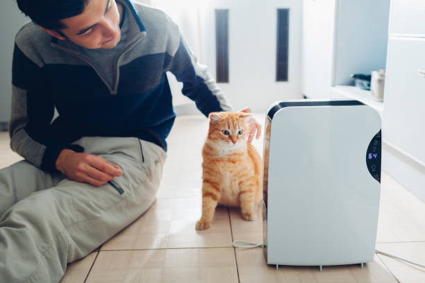 istock Dehumidifier with touch panel, humidity indicator, uv lamp, air ionizer, water container works at home. Air dryer 1094087828