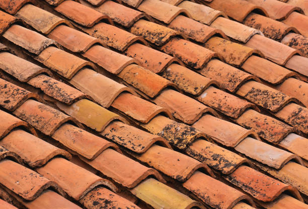 istock Tiles on the Building Roof Texture 1094089212