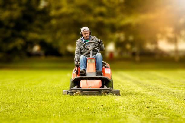 the lawn mower - lawn mower red plant lawn imagens e fotografias de stock