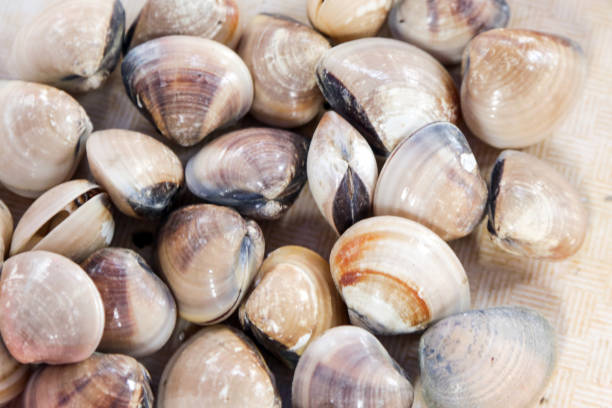 istock Shellfish at a local farmers market 1094089944