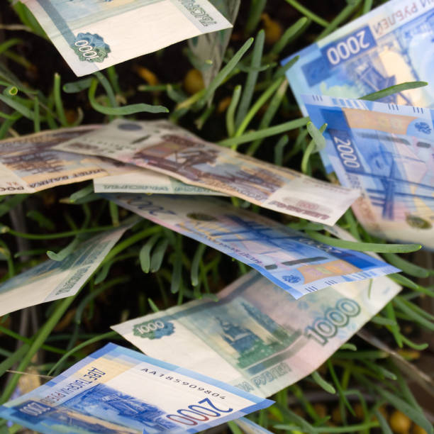istock Three Australian dollars planted in garden bed . 1094092076