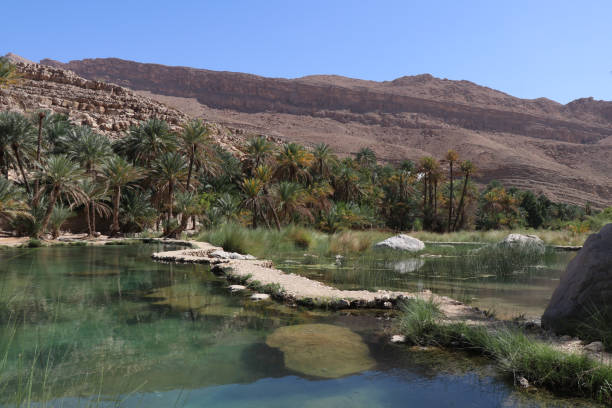 wadi bani khalid - wadi bani khalid zdjęcia i obrazy z banku zdjęć