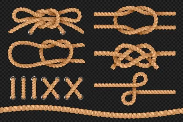 Vector illustration of Marine ropes. Cord twisted texture, nautical ropes borders, cordage bowknot. Vector set