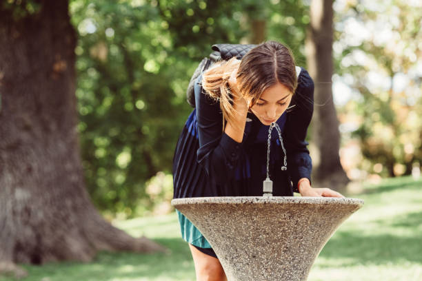 Young woman in the park drinking water at hot summer day Woman among nature drinking water whites only drinking fountain stock pictures, royalty-free photos & images