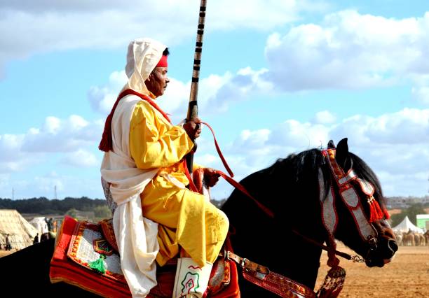 fantasy - horse arabian horse arabia white imagens e fotografias de stock