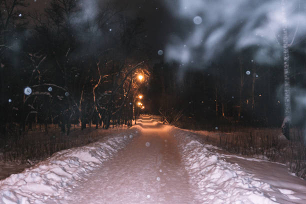 istock winter road in the forest in the evening 1094108034