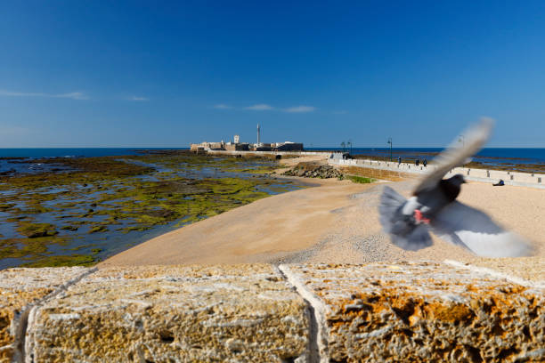 Low tide at La Caleta Beach with the old Fort and Lighthouse.