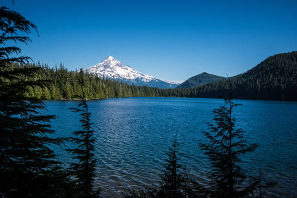 Beautiful view of Mt. Hood from Lost Lake Oregon on a sunny day Beautiful view of Mt. Hood from Lost Lake Oregon on a sunny day mt hood photos stock pictures, royalty-free photos & images