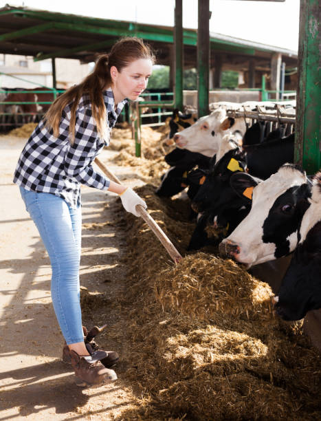 istock Woman working on dairy farm 1094118848