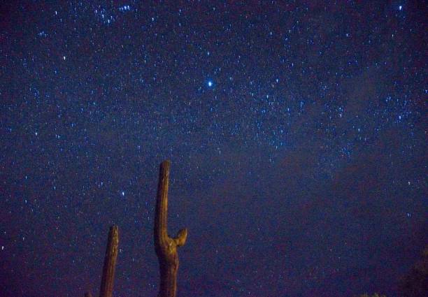 istock Stars in Atacama 1094120666
