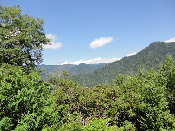 istock Mountain top View in the Appalachian mountains in TN 1094124344