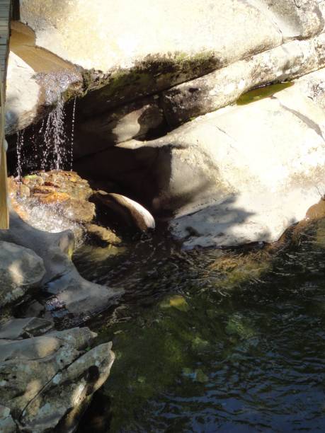 istock Rock covered stream bed with a gentle flowing river 1094124400