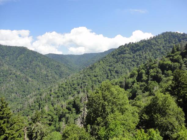 istock Mountain top View in the Appalachian mountains in TN 1094124404