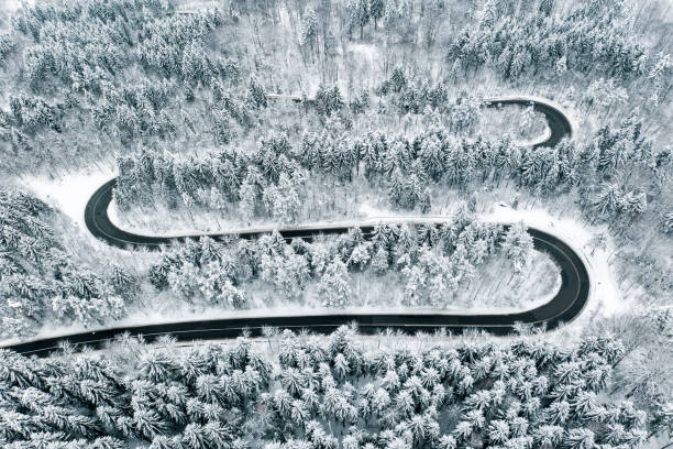 istock Winding road trough a forest mid winter season 1094128882