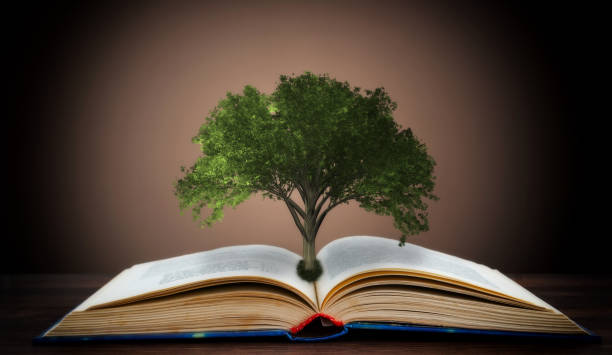 istock Book or tree of knowledge concept with tree growing from an open book 1094135698