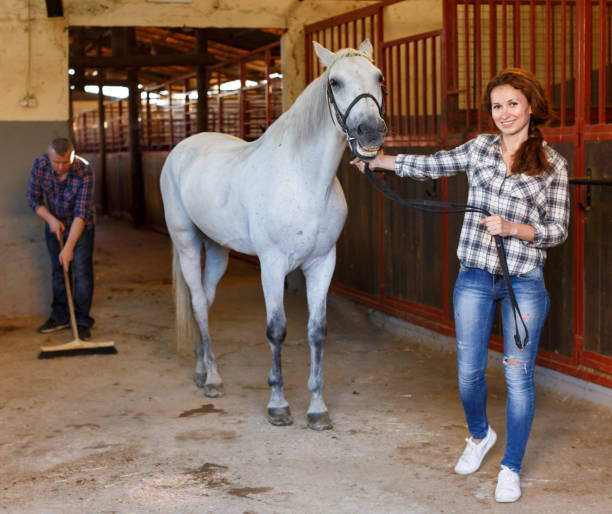 istock Farmer standing with horse, man cleaning floor at stabling 1094143722